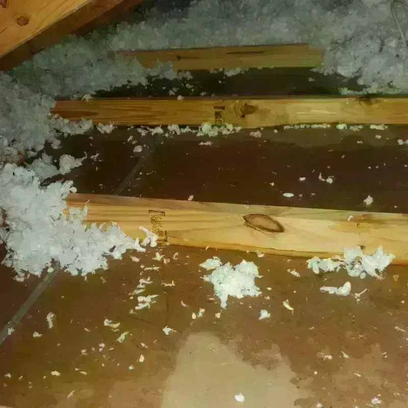 Attic Water Damage in Sam Rayburn, TX