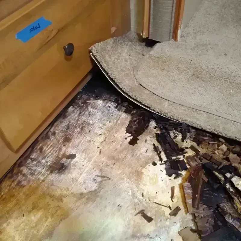 Wood Floor Water Damage in Sam Rayburn, TX